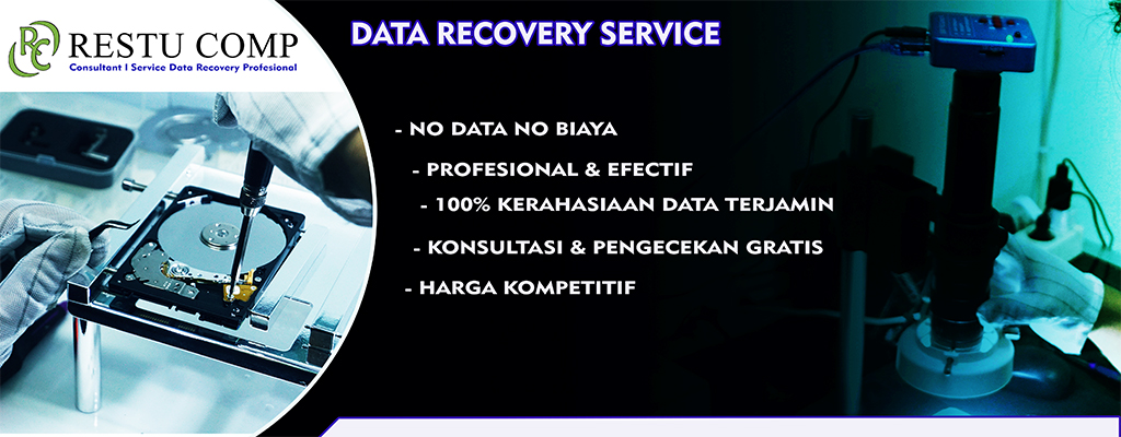 JASA RECOVERY DATA PROFESIONAL